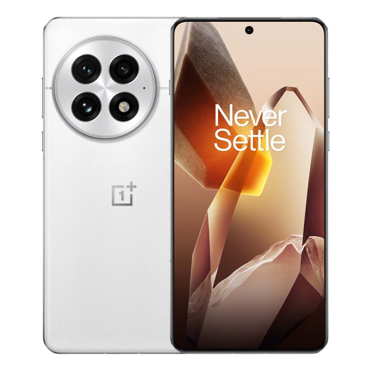 OnePlus 13 (2024) 16/512GB White, белый