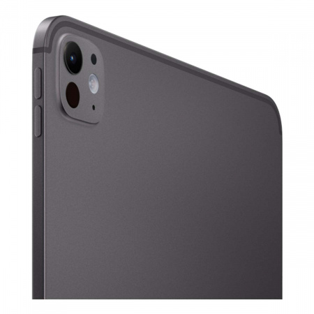 Apple iPad Pro 11" (M5, 2025) Wi-Fi 256GB Space Black, «чёрный космос»