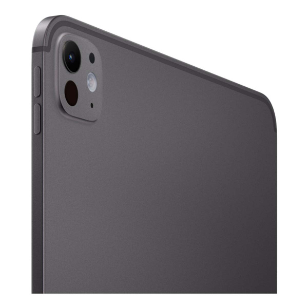 Apple iPad Pro 11" (M5, 2025) Wi-Fi 256GB Space Black, «чёрный космос»