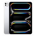 iPad Pro 13' (2025)