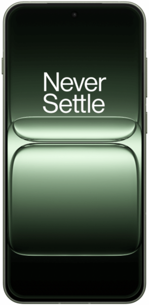 OnePlus 13S 12/512GB Green Silk, зелёный
