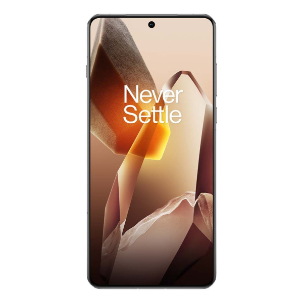 OnePlus 13 (2024) 12/256GB White, белый
