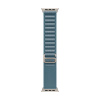 Apple Watch Ultra 3 (2025), 49 мм корпус из титана цвета «Natural», ремешок Alpine Loop размера S цвета «Light Blue»