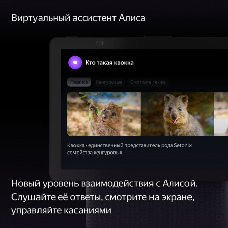 Умная колонка Яндекс.Станция Дуо Макс Черный